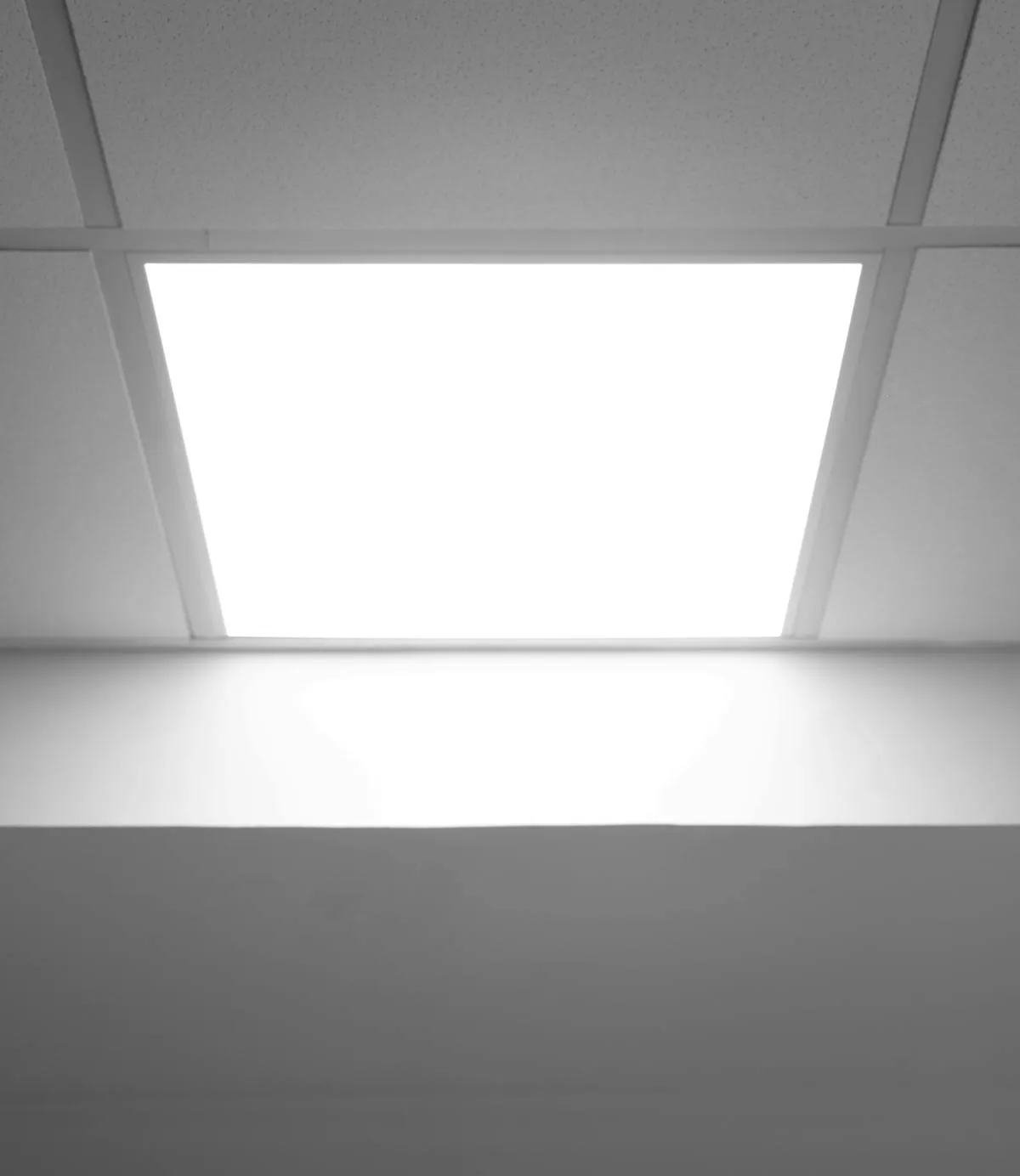 Translucent stretch ceiling finish