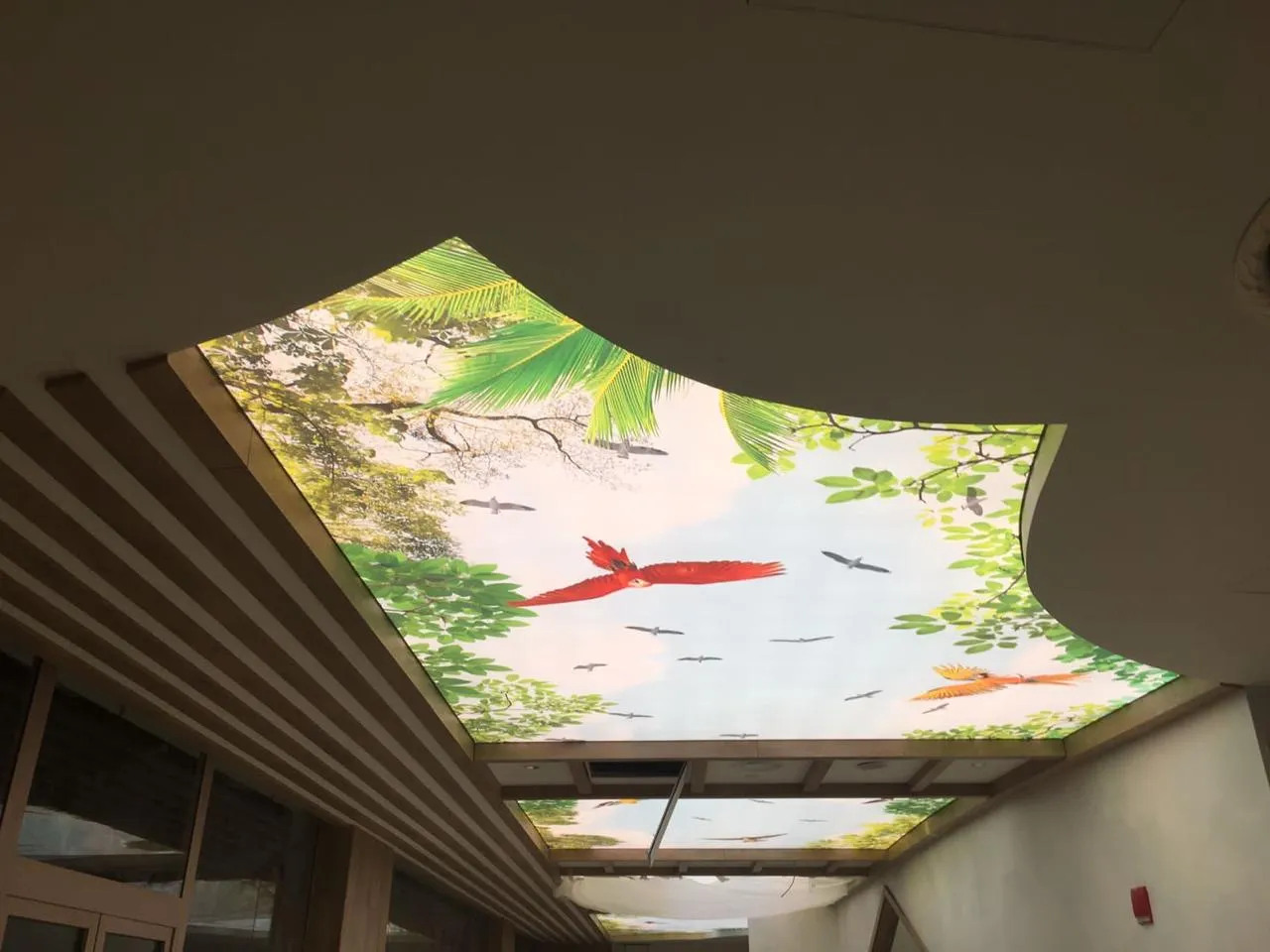 Printed stretch ceiling finish