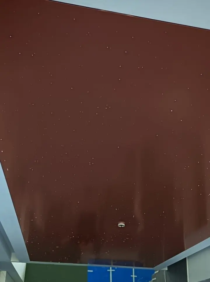 Copper Starlight Ceiling — image 1
