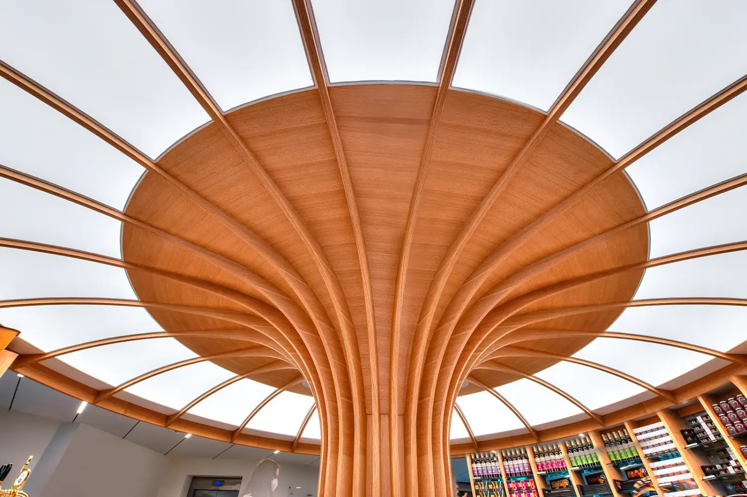 Stretch Ceiling — example 5