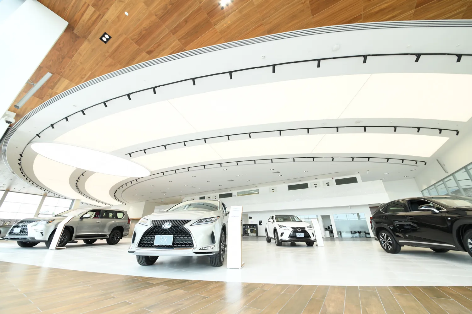 Stretch Ceiling — example 6